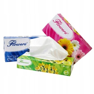 Zestaw Chusteczki higieniczne Flowers kartonik a'100szt. 2w. exclusive x10