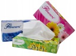 Chusteczki higieniczne Flowers kartonik a'100szt. 2w. exclusive