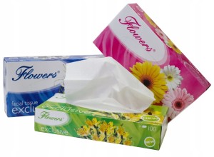 Chusteczki higieniczne Flowers kartonik a'100szt. 2w. exclusive