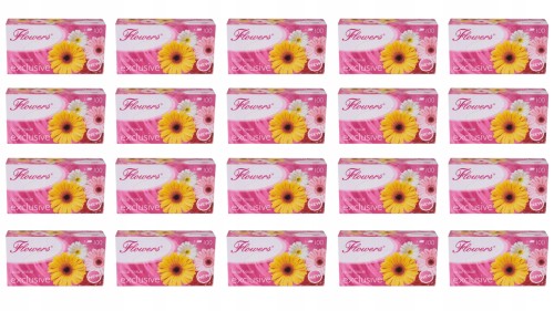 Zestaw Chusteczki higieniczne Flowers kartonik a'100szt. 2w. exclusive x20